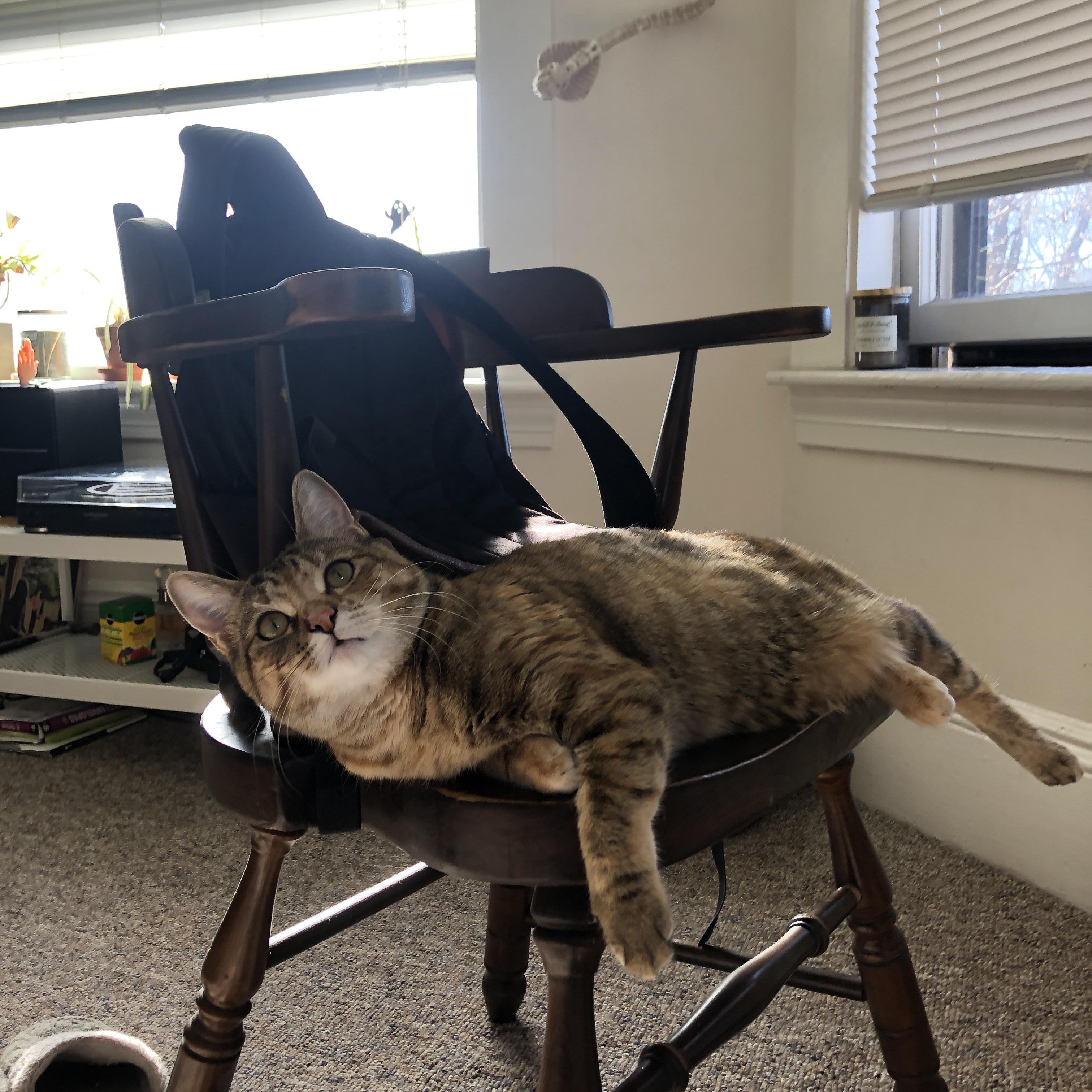 时空错配的翻盘，骑士与欧冠之间的命运低语