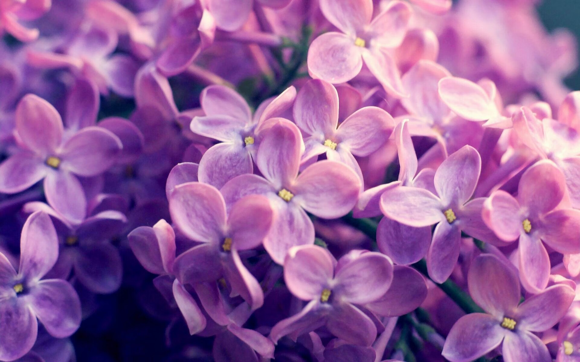 节奏的艺术，欧文的生涯之夜与深圳队的掌控之力