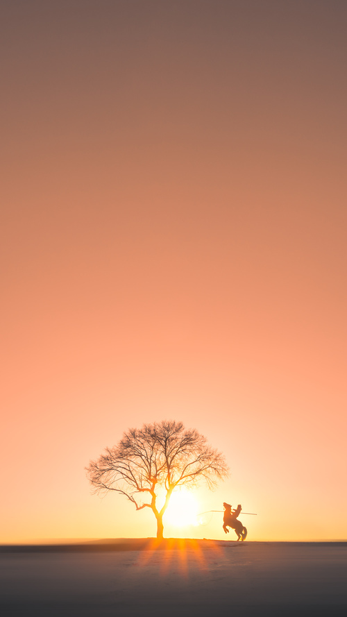 中场心脏与数据幽灵，当丹麦拆解英格兰，我们为何想起永不掉线的卡塞米罗？