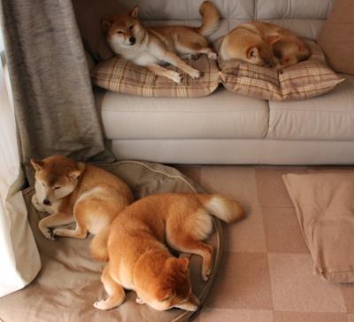 开云体育-量子纠缠，当活塞锁死湖人时，詹姆斯正在另一个时空收割比赛