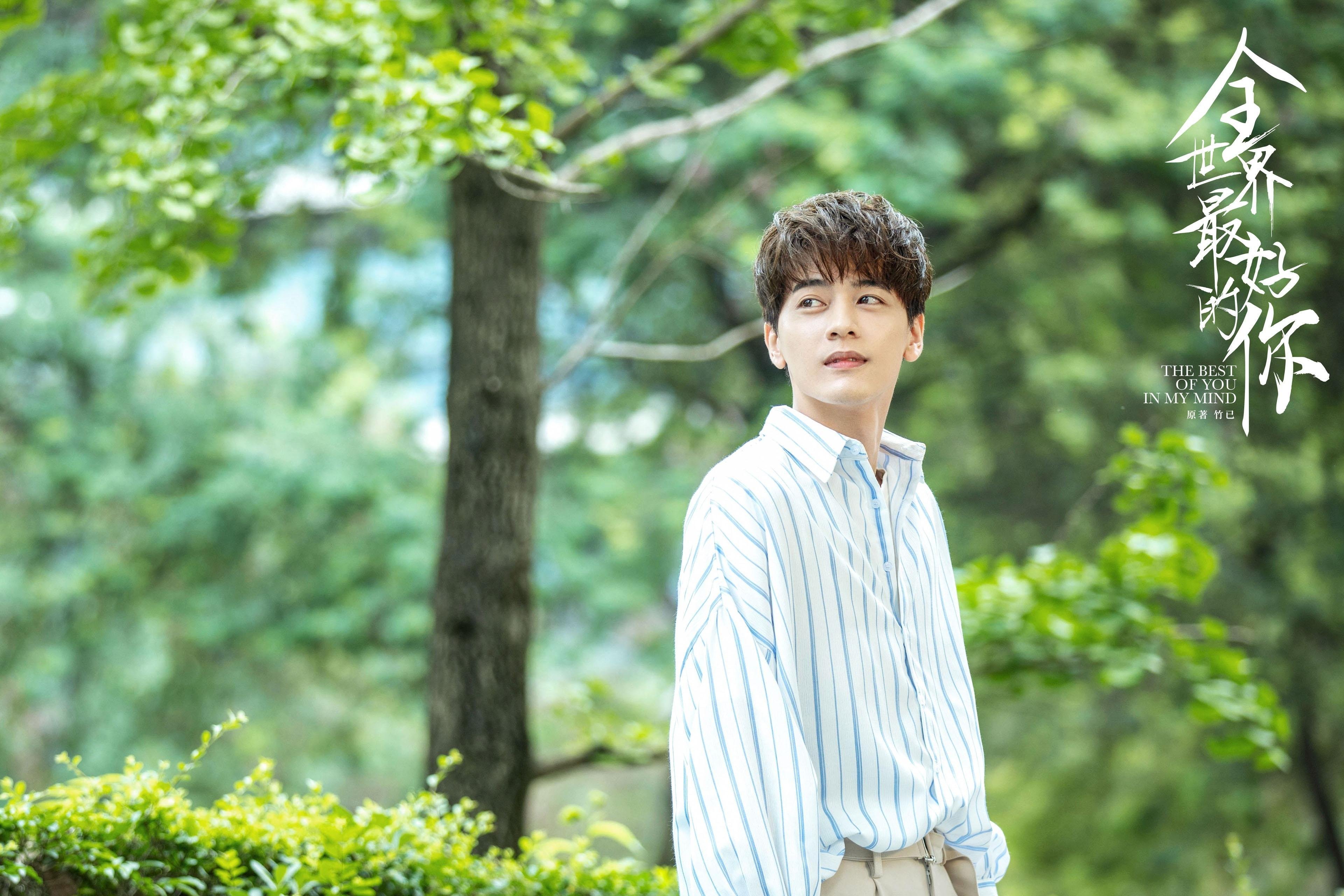 开云体育平台APP-弗拉霍维奇爆发启示录，德国巅峰对决胜出秘鲁的战术解析