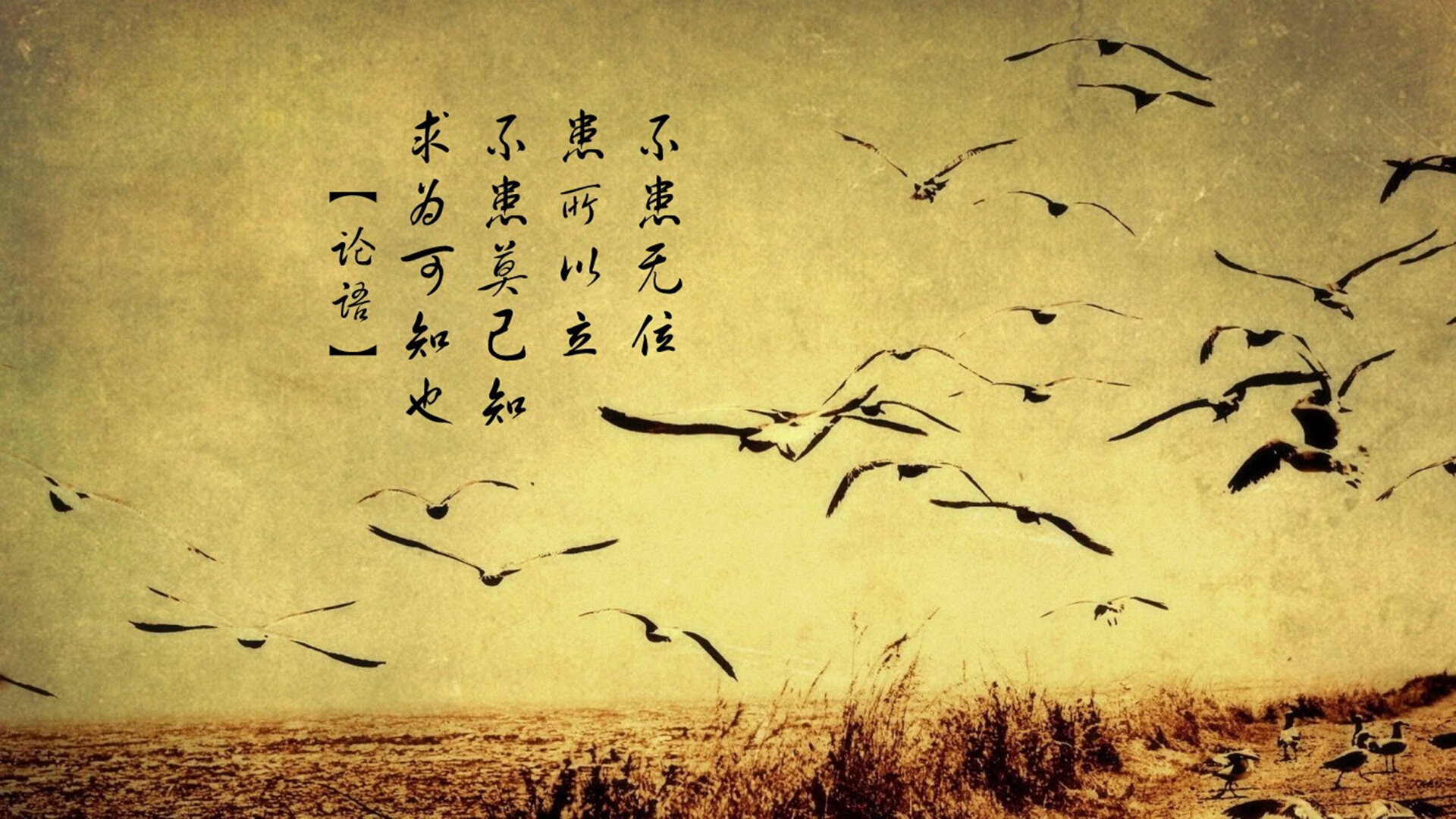 扩展思维,标题构思