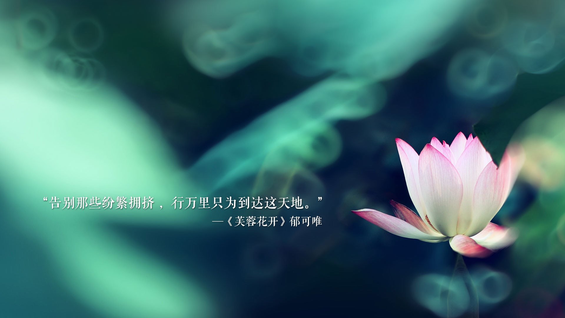 开云体育-蓝衣军团的交响诗，当加维的脉搏，跳动了整座球场的呼吸